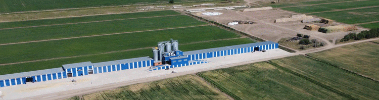 Kazakhstan’s Grain Industry Faces Crisis as Rail Tariffs Set to Triple by 2026