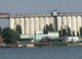 Volgodonsk’s Grain Elevator Up for Sale: What This Means for Russia’s Agricultural Export Infrastructure