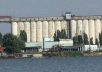 Volgodonsk’s Grain Elevator Up for Sale: What This Means for Russia’s Agricultural Export Infrastructure