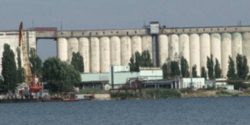 Volgodonsk’s Grain Elevator Up for Sale: What This Means for Russia’s Agricultural Export Infrastructure