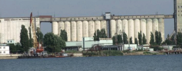 Volgodonsk’s Grain Elevator Up for Sale: What This Means for Russia’s Agricultural Export Infrastructure