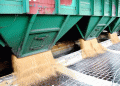 Kazakhstan Shatters Grain Export Records: New Markets and Strategic Growth