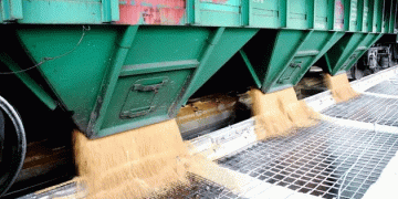 Kazakhstan Shatters Grain Export Records: New Markets and Strategic Growth