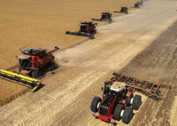 Volgograd’s Agricultural Triumph: 5.2 Million Tons of Grain and the Path to Food Security