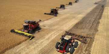 Volgograd’s Agricultural Triumph: 5.2 Million Tons of Grain and the Path to Food Security