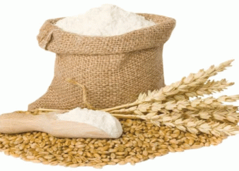 Strategic Grain Allocation: Punjab’s Feed Wheat Ban and the Global Pressure on Food Security