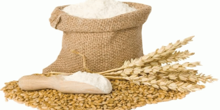 Strategic Grain Allocation: Punjab’s Feed Wheat Ban and the Global Pressure on Food Security