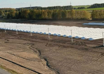 The Grain Bag Revolution: How Polymer Silos are Reshaping Post-Harvest Logistics and Profitability