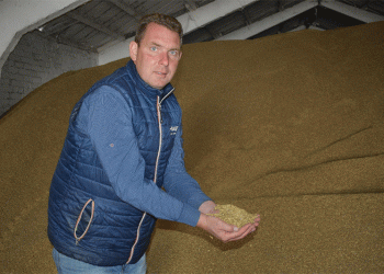 Strategic Expansion: How ‘Golden Ear’ LLC Doubled Its Winter Wheat Area on the Path to Higher Yields