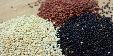 Beyond the Hype: Assessing Quinoa’s Agronomic Potential and Nutritional Superiority for Modern Agriculture