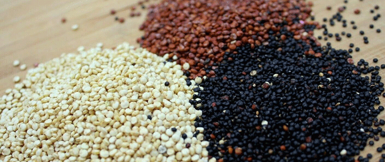 Beyond the Hype: Assessing Quinoa’s Agronomic Potential and Nutritional Superiority for Modern Agriculture