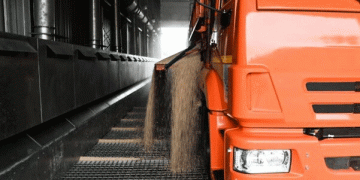 8 Tonnes Per Hectare: How a Siberian Agribusiness Shattered Yield Barriers in Risky Farmland