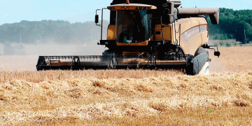 Zainsk District Wraps Up Grain Harvest, Yielding Over 106,000 Tonnes: A Case Study in Regional Productivity