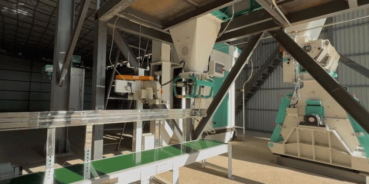 Strategic Feed Mill Launch in Kazakhstan: A Case Study in Value Addition and Export Diversification