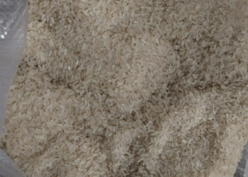 A 54-Ton Warning: Biosecurity Breach Highlights Global Grain Trade’s Fragile Line