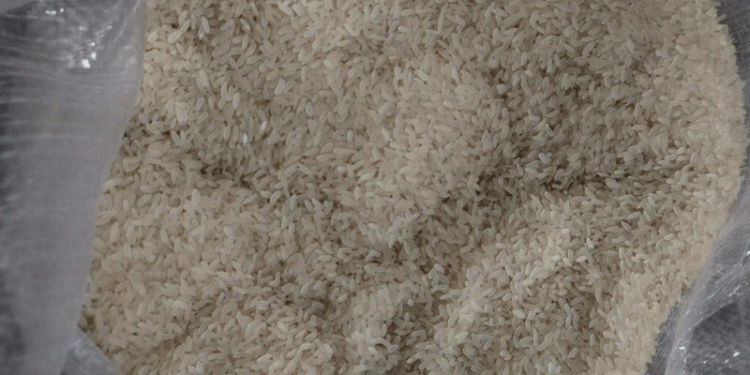 A 54-Ton Warning: Biosecurity Breach Highlights Global Grain Trade’s Fragile Line