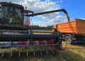 Harvest 2024 in Focus: Yield Success vs. Post-Harvest Challenges at a Russian Farm