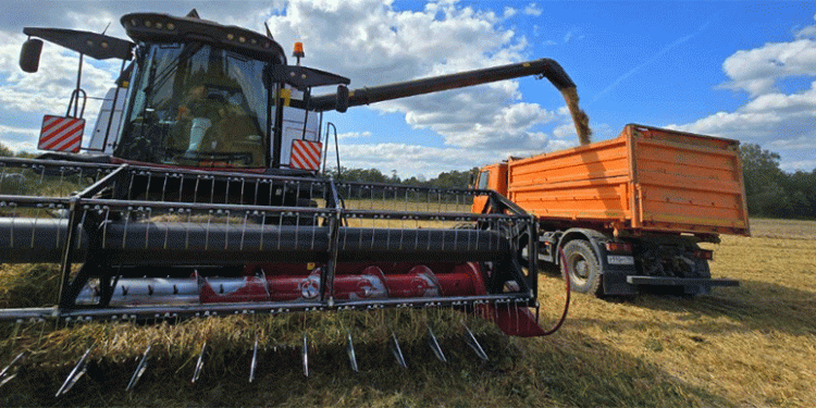 Harvest 2024 in Focus: Yield Success vs. Post-Harvest Challenges at a Russian Farm