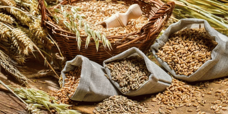 Beyond the Grain: Kazakhstan’s Strategic Pivot to High-Value Processing and Its Global Implications