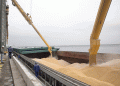 Russia’s Wheat Export Engine Hits High Gear: Record August Sets Stage for Strongest Year Yet