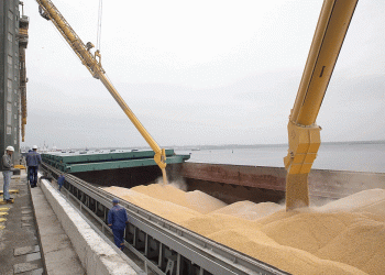 Russia’s Wheat Export Engine Hits High Gear: Record August Sets Stage for Strongest Year Yet