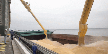 Russia’s Wheat Export Engine Hits High Gear: Record August Sets Stage for Strongest Year Yet