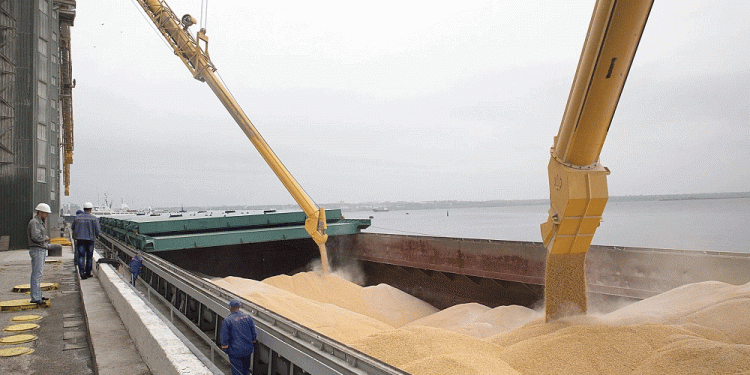 Russia’s Wheat Export Engine Hits High Gear: Record August Sets Stage for Strongest Year Yet