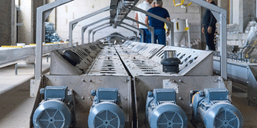 Ukraine’s Agri-Processing Powerhouse: New 100,000-Ton Corn Mill Launches with Focus on Quality and Export