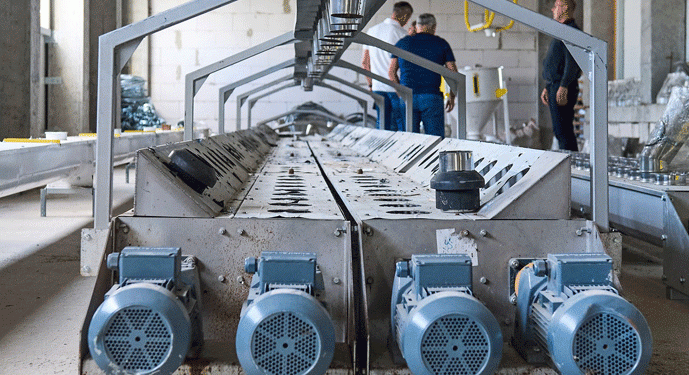 Ukraine’s Agri-Processing Powerhouse: New 100,000-Ton Corn Mill Launches with Focus on Quality and Export