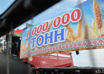 Teamwork and Technology: How Vitebsk Oblast Overcame Weather to Harvest 1 Million Tons of Grain