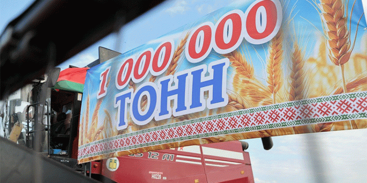 Teamwork and Technology: How Vitebsk Oblast Overcame Weather to Harvest 1 Million Tons of Grain