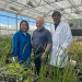 Engineering Self-Fertilizing Wheat: A CRISPR Breakthrough to Slash Input Costs and Pollution