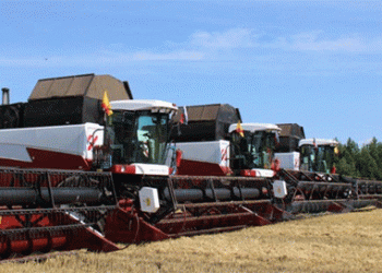 Chuvashia’s Record Harvest: A Case Study in Yield Potential and Logistical Challenges