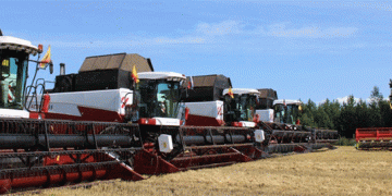 Chuvashia’s Record Harvest: A Case Study in Yield Potential and Logistical Challenges