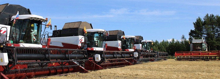 Chuvashia’s Record Harvest: A Case Study in Yield Potential and Logistical Challenges