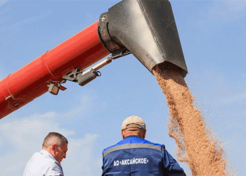 The Bumper Crop Paradox: Record Russian Harvests Squeeze Global Grain Margins
