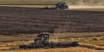 Kazakhstan’s Harvest 2024: A Data-Driven Look at Yield Performance and Crop Diversification