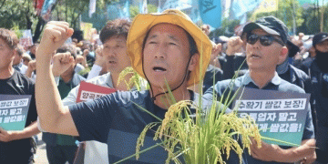 The Global Grain Squeeze: Navigating Market Volatility, Policy Shifts, and Producer Equity