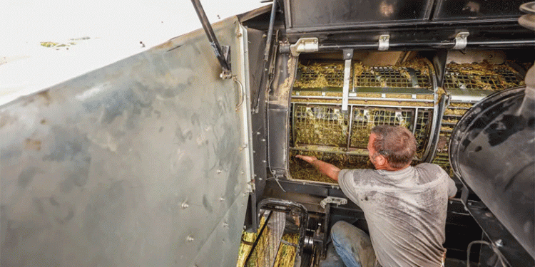 The Midwest Oat Paradox: Why a Crop with Clear Benefits Struggles to Find Its Footing