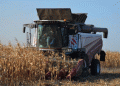 Beyond the Cob: Corn’s Versatility Drives Strategic Harvest in Penza Region