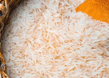 India’s Grain Bounty: Record Stockpiles Reshape Global Markets and Domestic Stability