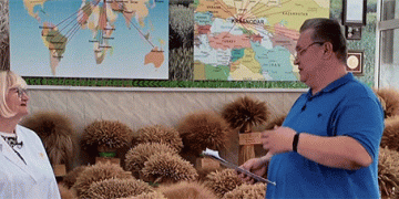 Breeding for Resilience: Inside Russia’s National Grain Center’s Annual Quest for Better Wheat