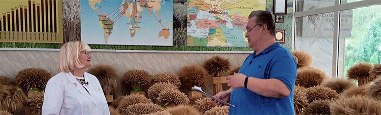 Breeding for Resilience: Inside Russia’s National Grain Center’s Annual Quest for Better Wheat