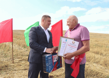 Beyond the Driver’s Seat: The Unsung Logistics of a 4,000-Ton Harvest