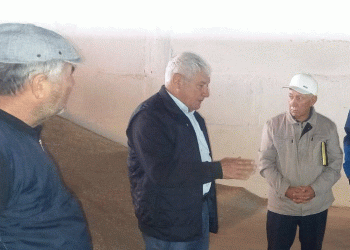 Beyond Monoculture: Why Dagestan’s Push for Diverse Wheat Varieties is a Strategic Move for Resilience and Yield