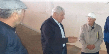 Beyond Monoculture: Why Dagestan’s Push for Diverse Wheat Varieties is a Strategic Move for Resilience and Yield