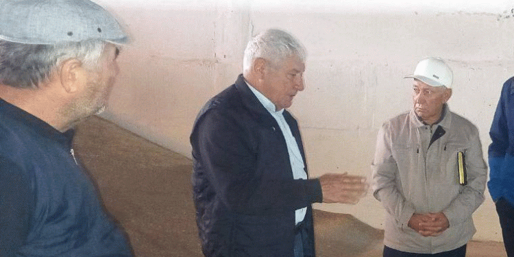 Beyond Monoculture: Why Dagestan’s Push for Diverse Wheat Varieties is a Strategic Move for Resilience and Yield