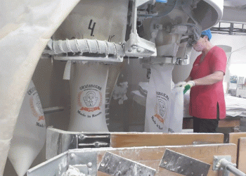 From Historic Mills to Modern Markets: The Enduring Legacy of Grain Milling