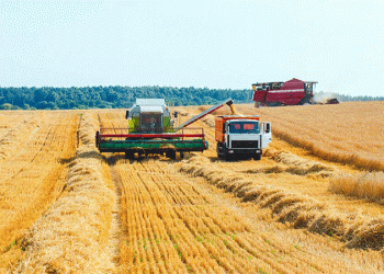 Logistics as a Lever: How Transport Subsidies are Reshaping Kazakhstan’s Grain Export Map
