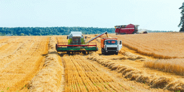 Logistics as a Lever: How Transport Subsidies are Reshaping Kazakhstan’s Grain Export Map